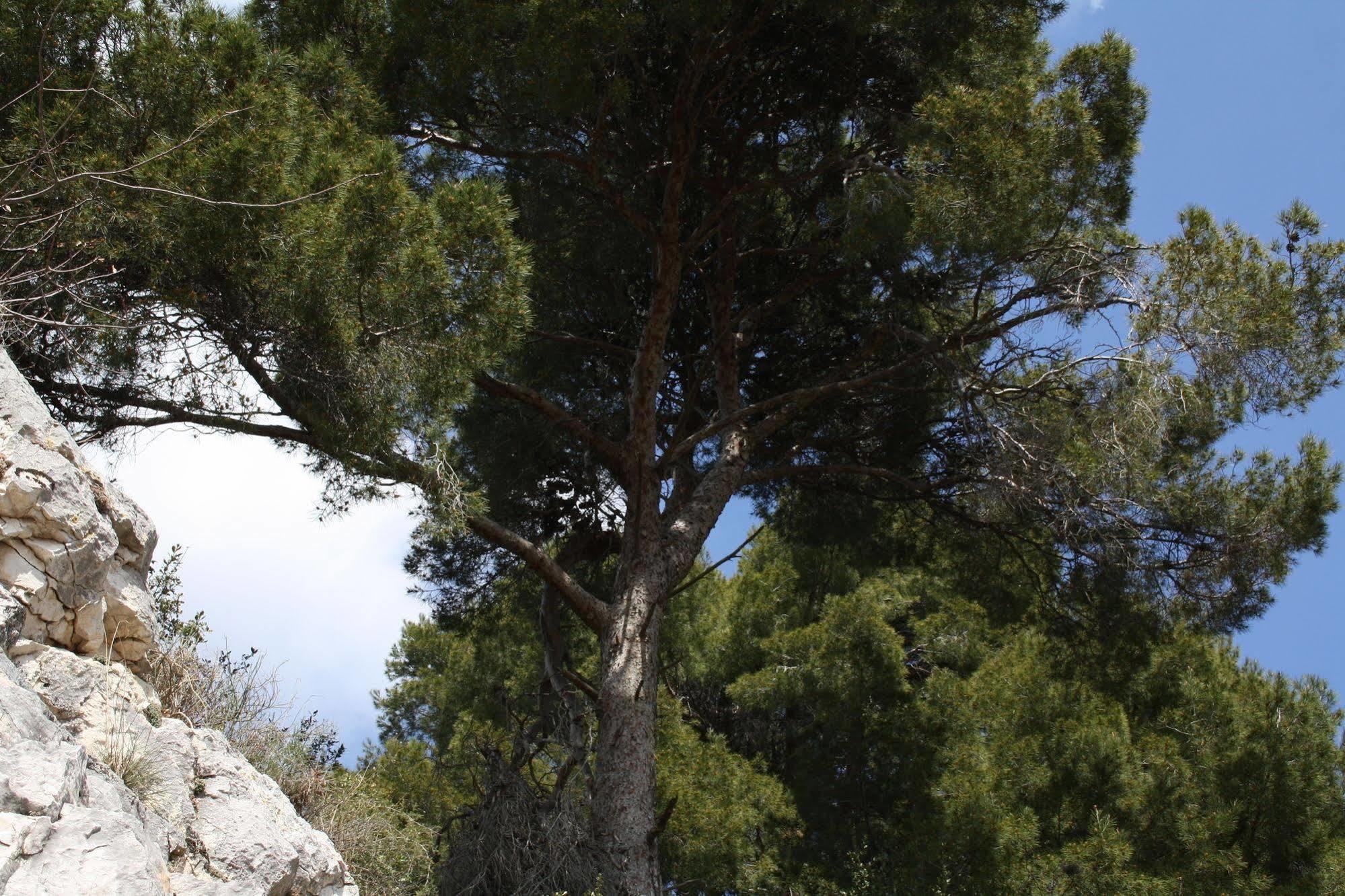 La Maisonnette De La Plage Du Rouet Carry-le-Rouet Εξωτερικό φωτογραφία